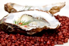 Zdjęcie dania ugotowanego przez szefa kuchni Ulalachef