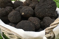 Zdjęcie dania ugotowanego przez szefa kuchni Ulalachef