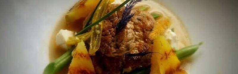 
                                                Warsztaty: Młodzi mięsożercy