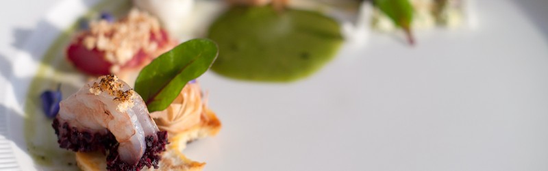 
                                                Warsztaty Owoce Morza