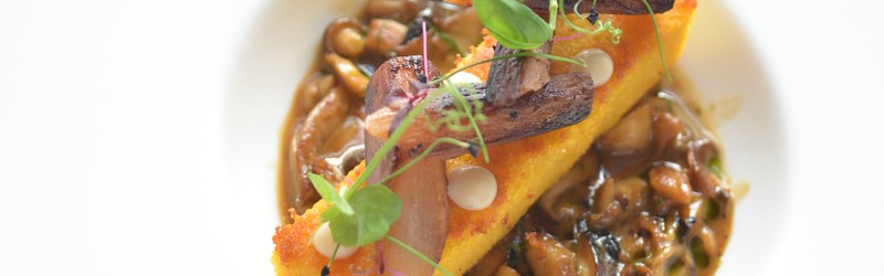 
                                                Wegetariańskie Plant Based