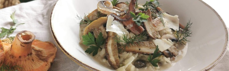 
                                                Pocztówka z Tajlandii