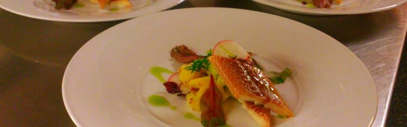 
                                                Wiosenne / Zielone / Wege