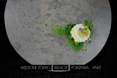 Zdjęcie dania ugotowanego przez szefa kuchni Ulalachef