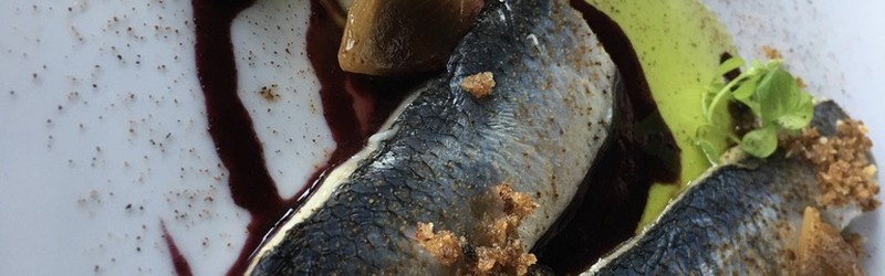 
                                                Warsztaty kulinarne - dookoła słonecznej Italii