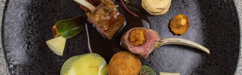 
                                                Gęsina na Świętego Marcina I