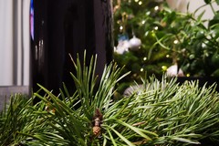 Zdjęcie dania ugotowanego przez szefa kuchni Ulalachef