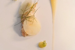 
                Menu wieczorowe z homarem i ośmiornicą