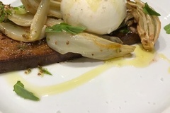 
                Mediterranes Festmahl - serviertes Menü