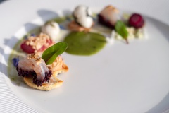 
                Warsztaty Owoce Morza