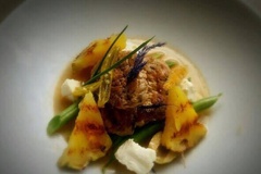 
                Warsztaty: Młodzi mięsożercy